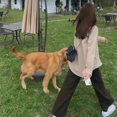 现代爱情故事